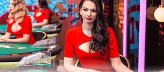 Net loss = total wagered – total winnings Net loss calculation example in asialive888 account history